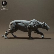 lioness-sneaking-4.jpg
