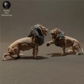 lions-fight-4.jpg