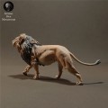 lion-3.jpg