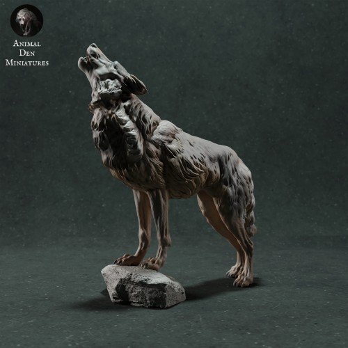 iberian-wolf-1.jpg