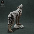iberian-wolf-3.jpg
