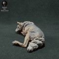 iberian-wolf-sleep-4.jpg