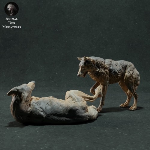 iberian-wolves-play-1.jpg