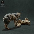 iberian-wolves-play-3.jpg