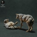 iberian-wolves-play-4.jpg