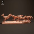 iberian-wolves-hunt-1.jpg