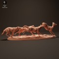 iberian-wolves-hunt-2.jpg