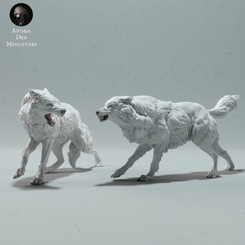 arctic-wolves-fight-1.jpg