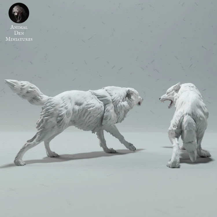 arctic-wolves-fight-3.jpg