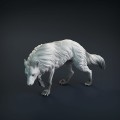 wolf-1.jpg