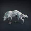 wolf-2.jpg