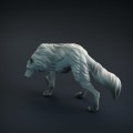 wolf-3.jpg