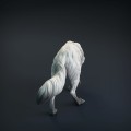 wolf-4.jpg