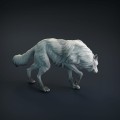 wolf-5.jpg