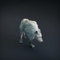wolf-6.jpg