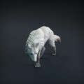 wolf-7.jpg