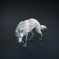 wolf-8.jpg