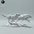 arctic-wolves-run-3.jpg