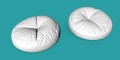 PufA-BeanBag.jpg