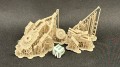 72011290_Flak37_Combat_1-72_2.jpg