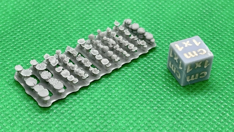 Grzyby 4mm - 11 róznych pasków 2.jpg