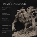 What's included.jpg