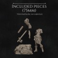 Sizes-2.jpg
