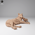 35130460_Mongolian Wolf and Pup 3.png