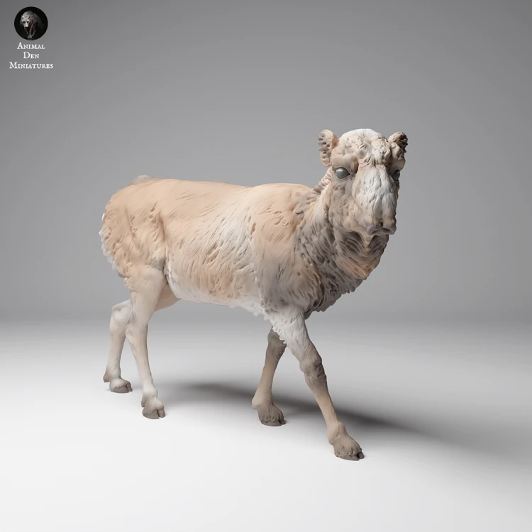 35130624_Mongolian Saiga Female 1.png