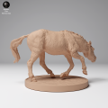 35130708_Przewalskis Horse Run 3.png