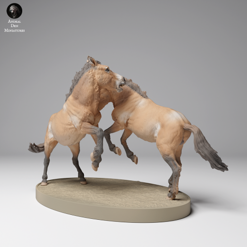 35130710_Przewalskis Horses Fight 1.png