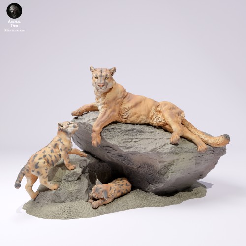 35130711_Mountain Lion Rock 1.jpg