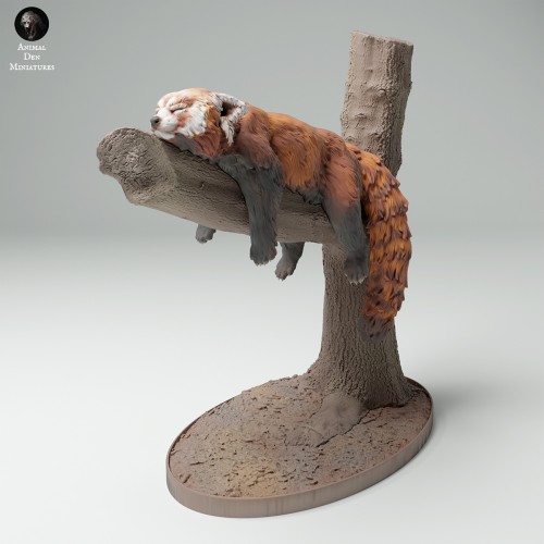 35130717_Red Panda Tree 1.jpg