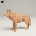 35130462_Grey Wolf Stand_1.jpg