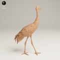 35130540_Greater Sandhill Crane 2.jpg