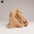 35130722_Sumatran Orangutan Sit 2.png