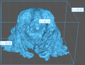 35130722_Sumatran Orangutan Sit 5.png