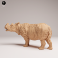 35130723_Sumatran Rhino Male 2.png