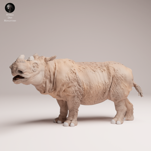 35130723_Sumatran Rhino Male 4.png