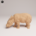 35130724_Sumatran Rhino Calf 2.png