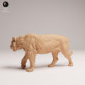 35130726_Sumatran Tiger Walk 1.png