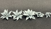 99160118_Agawa.jpg