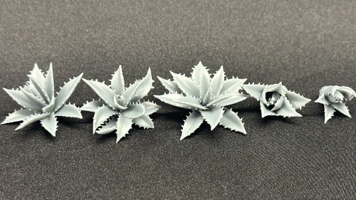 99160118_Agawa.jpg