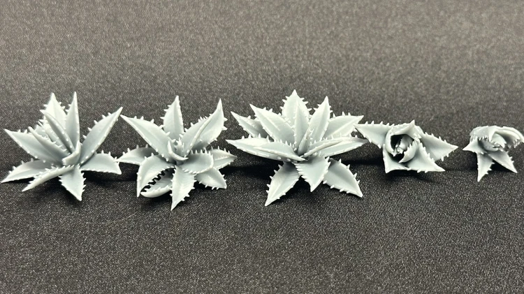 99160118_Agawa.jpg