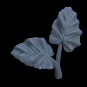 Terrain_Plant_Alocasia_Odora_01.png