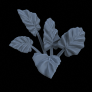 Terrain_Plant_Alocasia_Odora_05.png