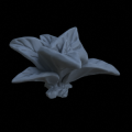 Terrain_Plant_Groundcover_05.png
