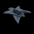 Terrain_Plant_Groundcover_07.png