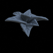 Terrain_Plant_Groundcover_07.png