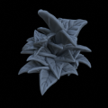 Terrain_Plant_Groundcover_08.png